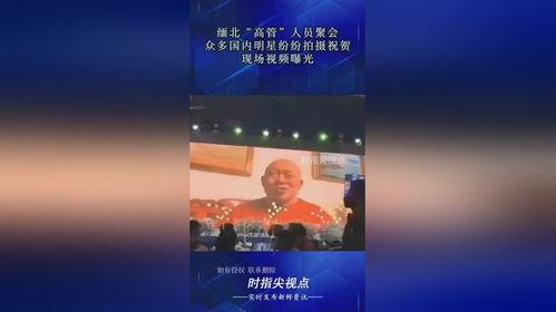 缅北高管爆料视频大全集,视频大全集深度解析