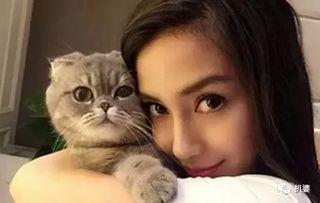 娱乐圈爆料猫不理,猫不理背后的惊人真相! 第3张 娱乐圈爆料猫不理,猫不理背后的惊人真相! 第3张