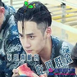 吃瓜群众蒋劲夫免费阅读,揭秘娱乐圈“吃瓜群众”背后的故事  第1张