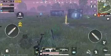 和平精英最新版爆料,全新内容与玩法大曝光！